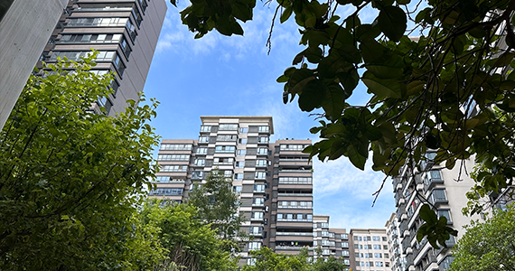 域名注册商查询