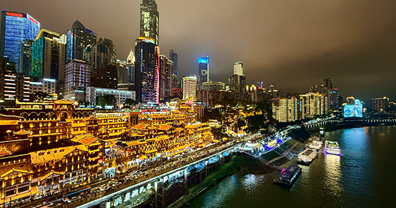 商标域名查询注册