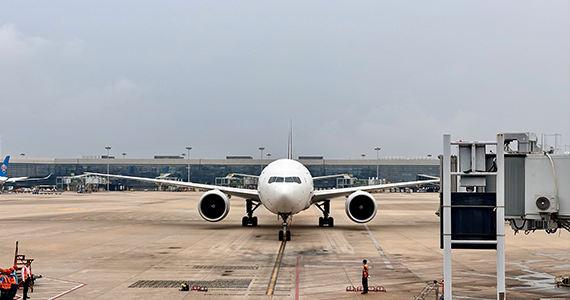 查询域名注册商